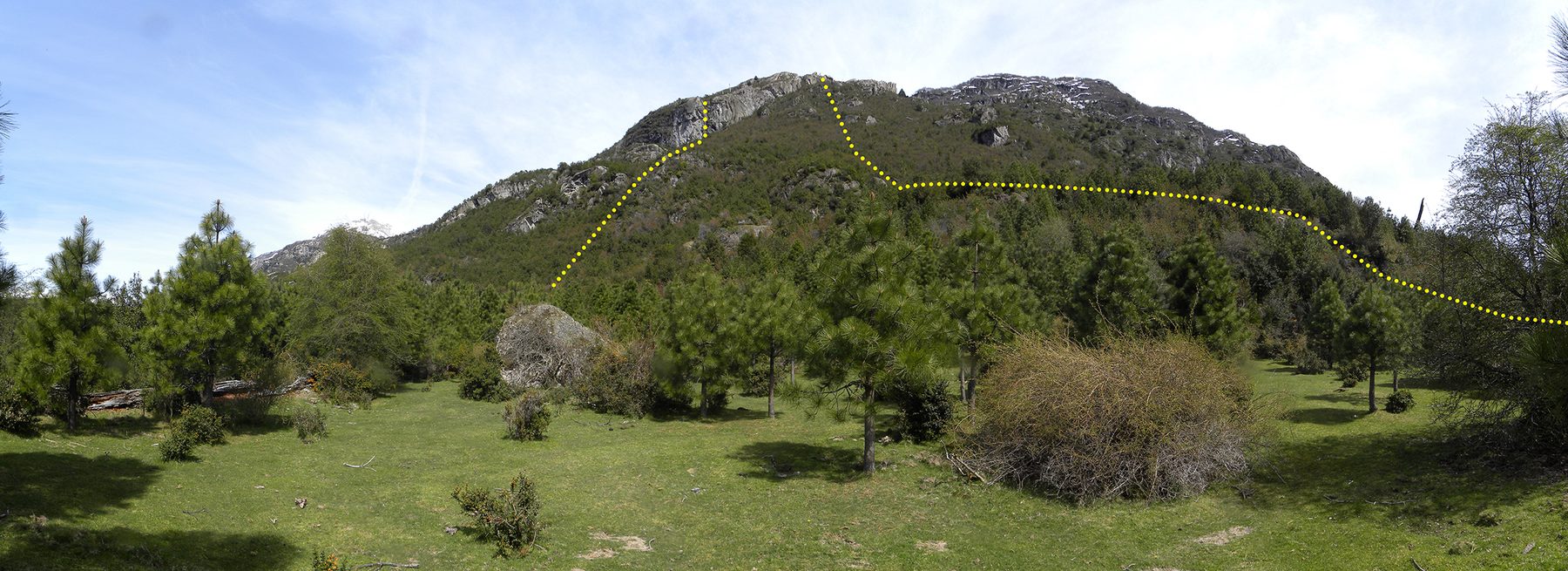 Lote